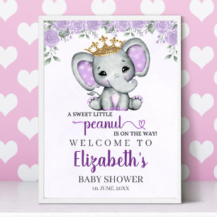 A Sweet Little Peanut is on the way Baby shower Poster