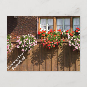 A Swiss flowery windows Postcard