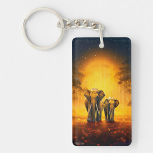 a symbol of good fortune, an elephant keychains