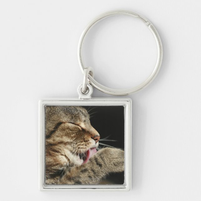 A tabby cat licking his paw. key ring (Front)
