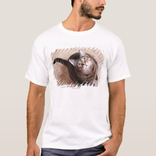 A tabby cat looking up T-Shirt