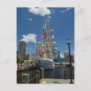 A Tallship in Baltimore Postcard