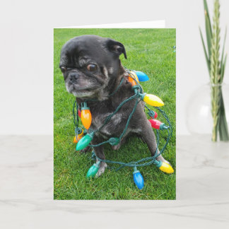 A Tangle-Free Christmas Holiday Card