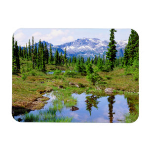 A tarn in the backcountry of Vancouver Island Magnet