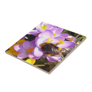 A Taste of Spring ~ Ceramic Tile