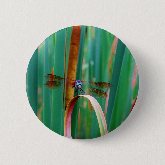 A teal Eyed Dragonfly with cattails 6 Cm Round Badge (Front)