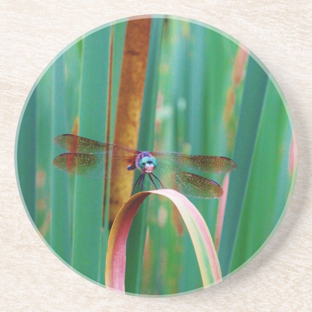 A teal Eyed Dragonfly with cattails Coaster (Front)