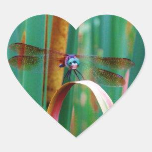 A teal Eyed Dragonfly with cattails Heart Sticker