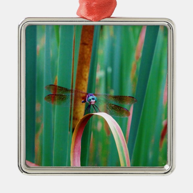 A teal Eyed Dragonfly with cattails Metal Tree Decoration (Front)