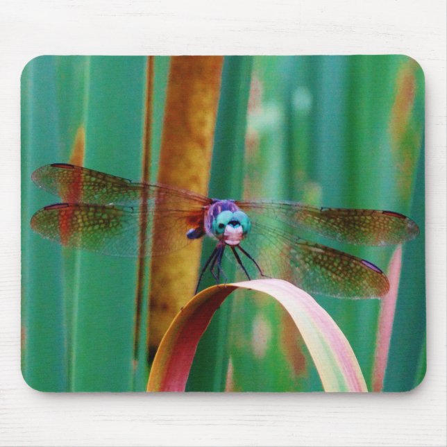 A teal Eyed Dragonfly with cattails Mouse Mat (Front)