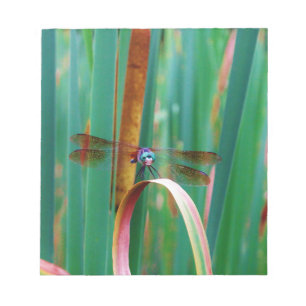 A teal Eyed Dragonfly with cattails Notepad