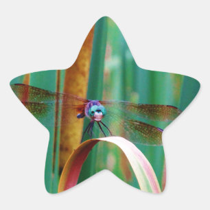A teal Eyed Dragonfly with cattails Star Sticker
