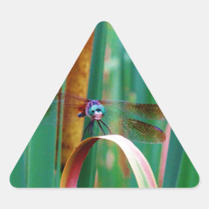 A teal Eyed Dragonfly with cattails Triangle Sticker