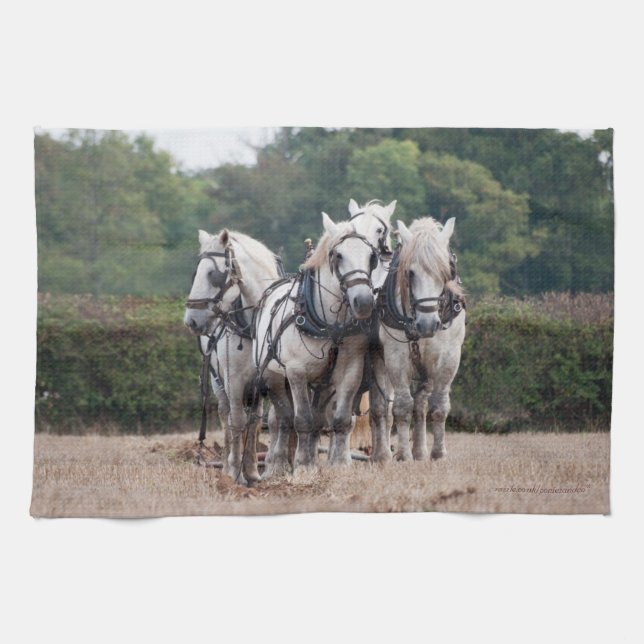 A team of Percheron's Tea Towel (Horizontal)