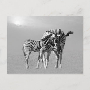 A tender moment between mum and baby postcard