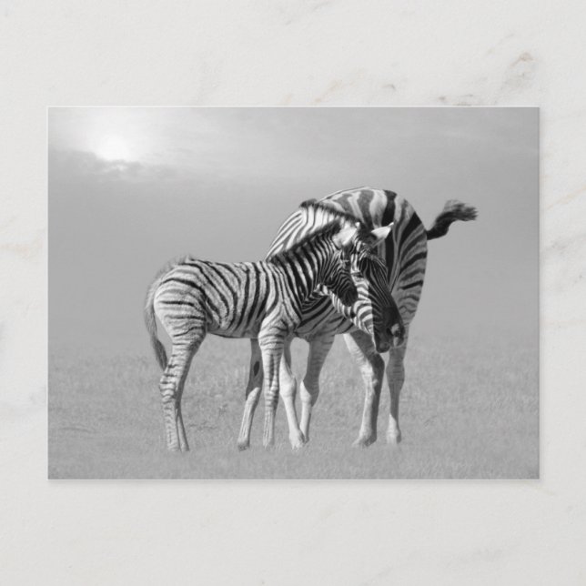 A tender moment between mum and baby postcard (Front)