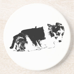 A Tender Pause Coaster