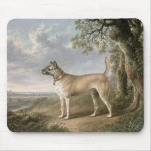 A Terrier on a path in a wooded landscape Mouse Mat