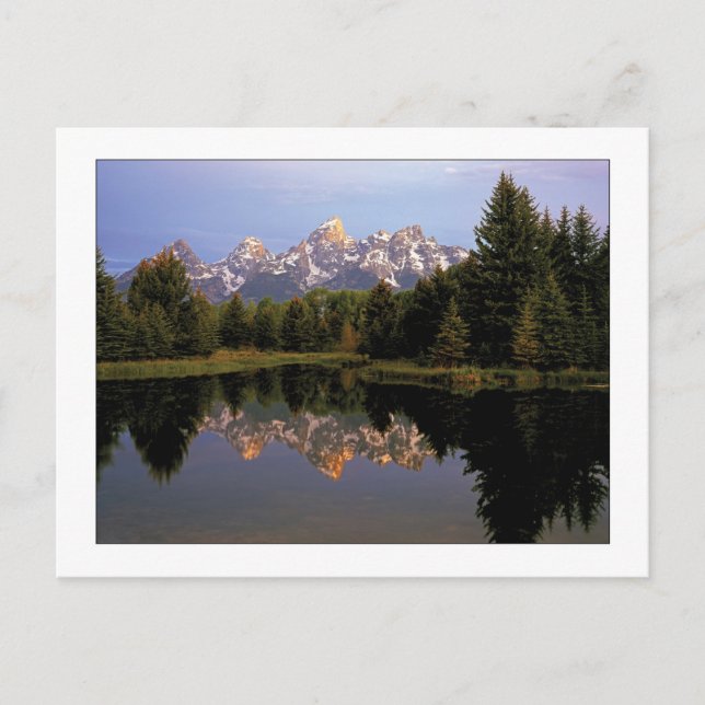 "A Teton Morning" Postcard (Front)
