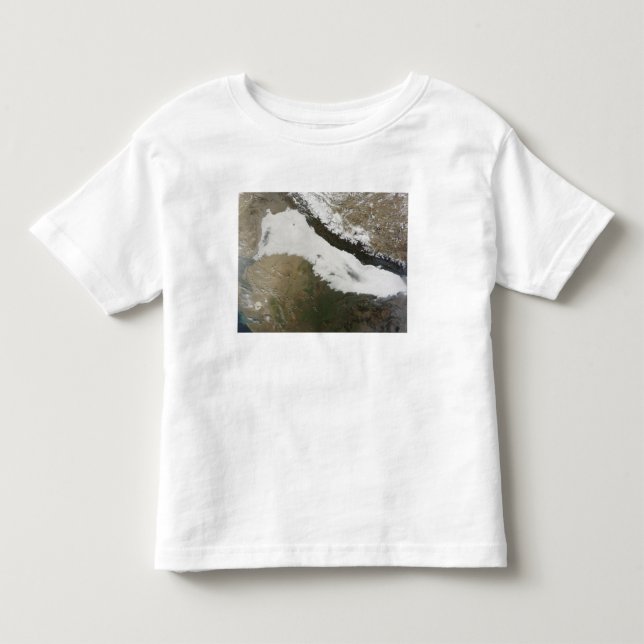 A thick bank of low clouds toddler T-Shirt (Front)