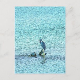 A Thinker Postcard