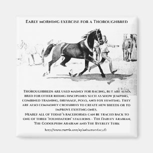 "A Thoroughbred in Training" Magnet