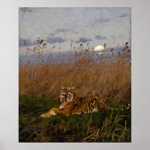 A Tiger Among Rushes In The Moonlight Poster