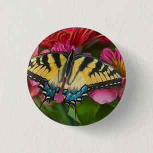 A Tiger Swallowtail Butterfly 3 Cm Round Badge