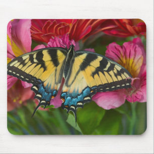 A Tiger Swallowtail Butterfly Mouse Mat