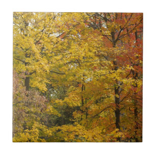 a tile