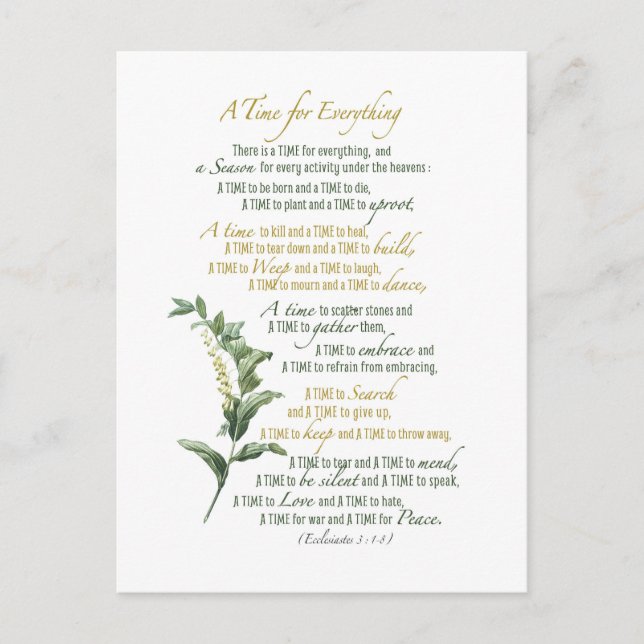 A time for everything - Ecclesiastes 3: 1-8 Postcard (Front)