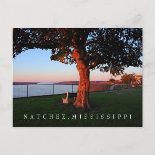 A time of remembrance - Natchez, Mississippi Postcard