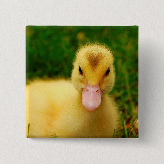 A Tiny Duckling 15 Cm Square Badge (Front)