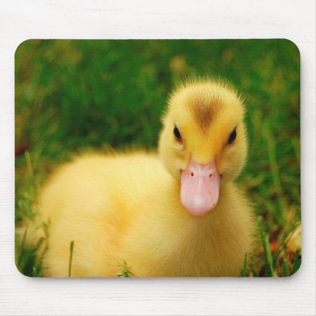 A Tiny Duckling Mouse Mat (Front)