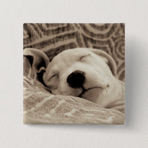 A Tired Dog 15 Cm Square Badge