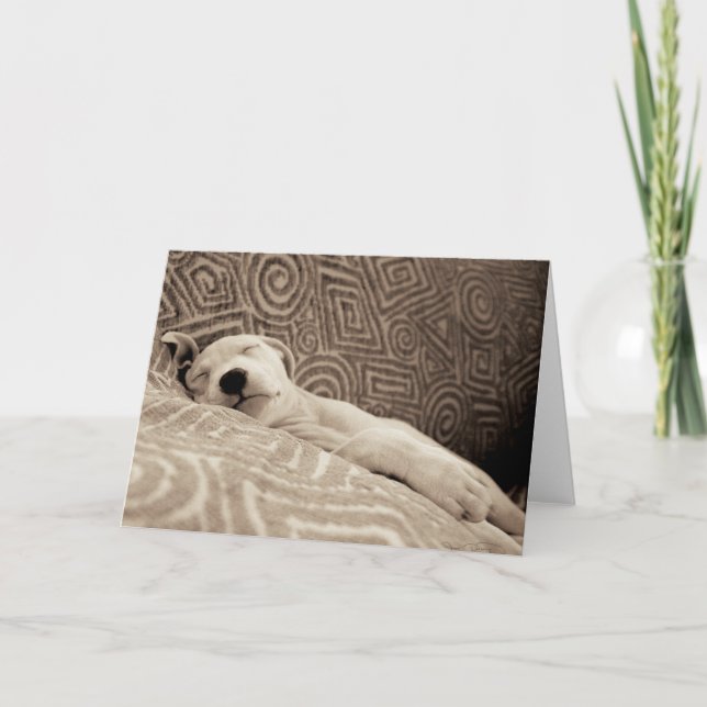 A Tired Dog Card (Front)