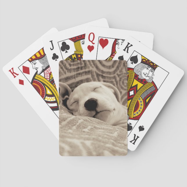 A Tired Dog Playing Cards (Back)