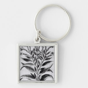 A Tobacco Plant, 1622 Key Ring