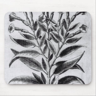 A Tobacco Plant, 1622 Mouse Mat
