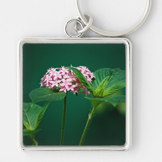 A Touch of Pink in the Green Keychain (Front)