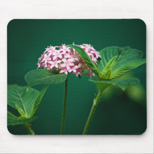 A Touch of Pink in the Green Mousepad