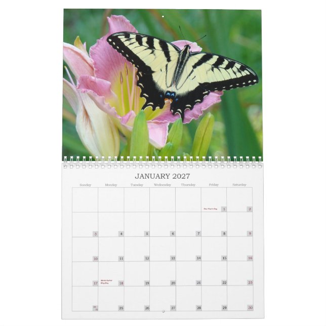 A Touch of the Sun Daylilies Calendar (Jan 2027)