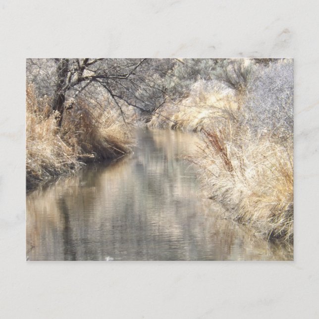 A Tranquil Setting Postcard (Front)