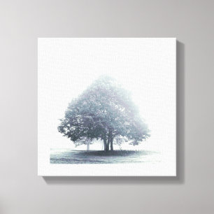 A Tree in Fog Canvas Print