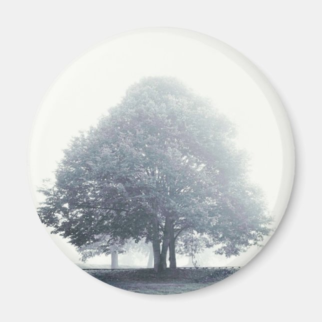 A Tree in Fog Magnet (Front)