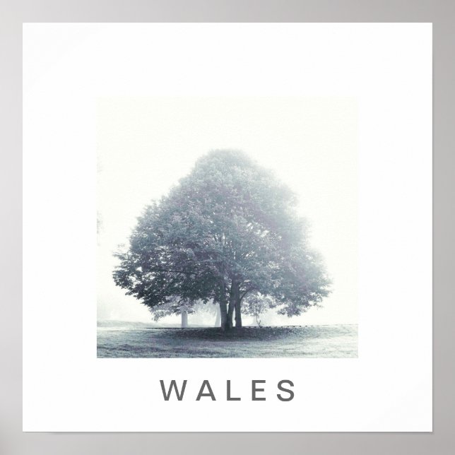 A Tree in Fog Poster (Front)