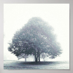 A Tree in Fog Poster