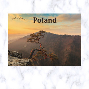 A Tree in Pieniny Poland Postcard