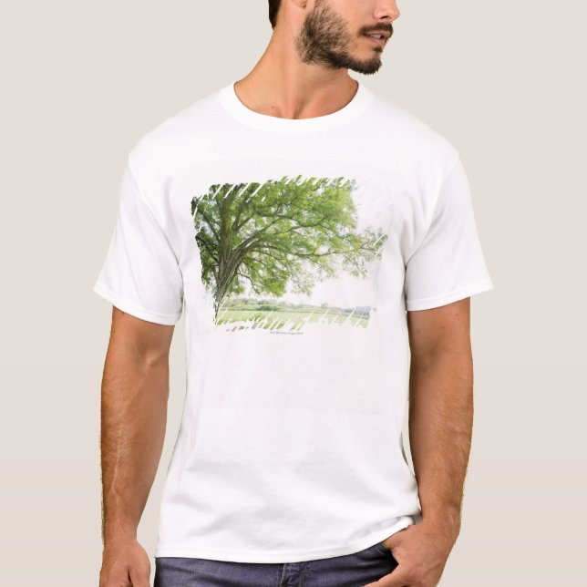 A tree in the field of grass T-Shirt (Front)