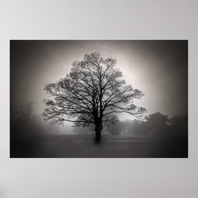A Tree in the Fog Poster (Front)